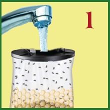 Flies Be Gone Outdoor Fly Trap - Disposable Non Toxic Fly Catcher, Made in USA - Natural Bait Trap for Patios, Ranches, Outdoor Environments - Disposable Flytrap, 10-Pack