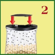 Flies Be Gone Outdoor Fly Trap - Disposable Non Toxic Fly Catcher, Made in USA - Natural Bait Trap for Patios, Ranches, Outdoor Environments - Disposable Flytrap, 10-Pack