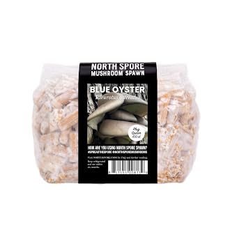 North Spore Log Inoculation Bundle | 500 ct Shiitake, Lions Mane, and Blue Oyster | Wax, Daubers, and Drill Bit | Grow Mushrooms on Outdoor Logs | Premium Quality Mushroom Plug Spawn | Handmade in USA