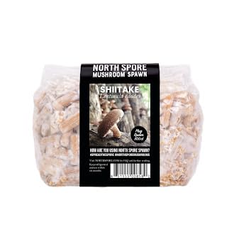 North Spore Log Inoculation Bundle | 500 ct Shiitake, Lions Mane, and Blue Oyster | Wax, Daubers, and Drill Bit | Grow Mushrooms on Outdoor Logs | Premium Quality Mushroom Plug Spawn | Handmade in USA