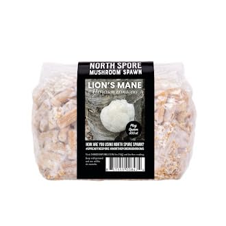 North Spore Log Inoculation Bundle | 500 ct Shiitake, Lions Mane, and Blue Oyster | Wax, Daubers, and Drill Bit | Grow Mushrooms on Outdoor Logs | Premium Quality Mushroom Plug Spawn | Handmade in USA