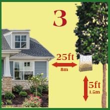 Flies Be Gone Outdoor Fly Trap - Disposable Non Toxic Fly Catcher, Made in USA - Natural Bait Trap for Patios, Ranches, Outdoor Environments - Disposable Flytrap, 10-Pack