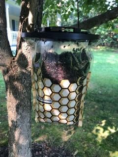 Flies Be Gone Fly Trap - Disposable Non Toxic Fly Catcher, Made in USA - Natural Bait Trap for Patios, Ranches, Outdoor Environments - Keeps Flies from Coming Indoors, Disposable Fly Catcher, 5-Pack