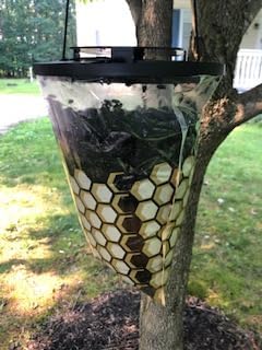 Flies Be Gone Fly Trap - Disposable Non Toxic Fly Catcher, Made in USA - Natural Bait Trap for Patios, Ranches, Outdoor Environments - Keeps Flies from Coming Indoors, Disposable Fly Catcher, 5-Pack