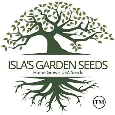 True Green Improved Hubbard Squash Seeds (Cucurbita Maxima) – 25 Heirloom Non-GMO Seeds by Isla’s Garden Seeds, Ideal for Planting, Excellent for Home Gardens, Perfect Gardening Gift