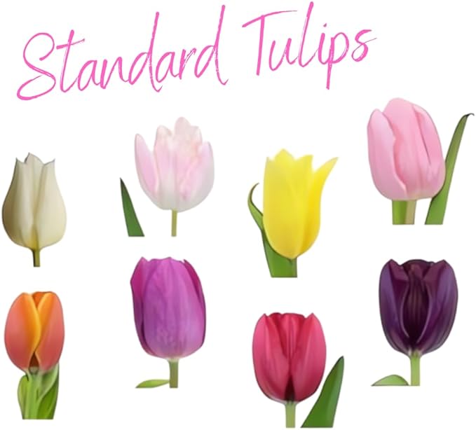 20 Top Size Tulip Bulbs for Fall Planting, Mixed Tulip Flower Bulbs, Bulk Pack of Colorful Tulips for Spring Blooms, Grow Flowerbeds, Fresh Harvest
