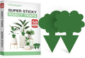 58 Pcs Green Flying Insect Traps for Plants,Indoors, Outdoors, Kitchen, Sticky Traps for Fungus Gnat, Fly and Fruit Fly, Flying Insects, Non-Toxic & Odorless, Kid and Pet Safe, Economic Pack (Green)
