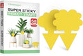 58 Pcs Yellow Flying Insect Traps for Plants,Indoors, Outdoors, Kitchen, Sticky Traps for Fungus Gnat, Fly and Fruit Fly, Flying Insects, Non-Toxic & Odorless, Kid & Pet Safe, Economic Pack (Yellow)