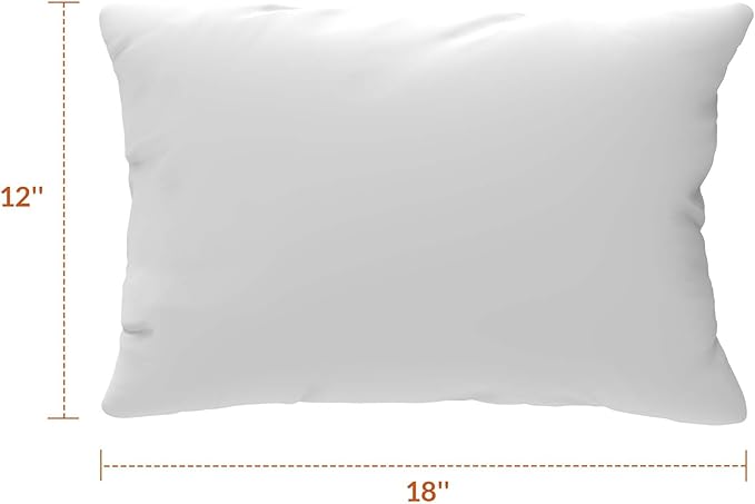 Covers & All Sunbrellla Outdoor Pillows for Patio Furniture, UV Fade Resistant & Waterproof Outdoor Sunbrella Lumbar Pillows, Set of 2 Inserts & Covers for Patios, Decks and Porches (Cast Mist)