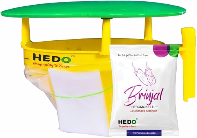 HEDO Pheromone Trap with Brinjal pheromone Lure(Leucinodes orbonalis) for Brinjal Crop Pack of 5