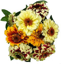 Park Seed Zinnia Flower Planting Seeds, Easy to Grow, Perfect for Spring Garden, Persian Carpet Mix, Pack of 50