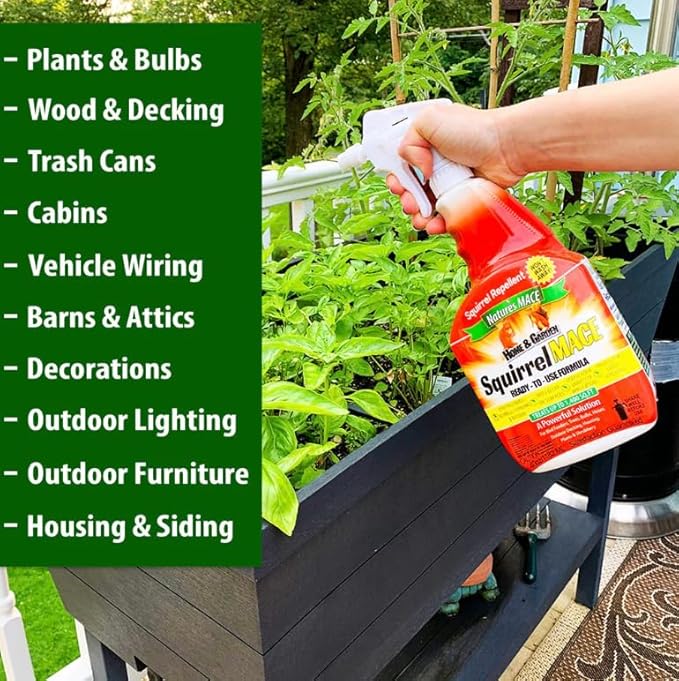 Nature’s MACE Squirrel Mace, Squirrel Repellent Spray, 40 Ounce Concentrate, Squirrel and Chipmunk Repellent, Keep Out of Garden, Attic, Fruit Trees, Plants, Potted Plants, Repel Squirrels