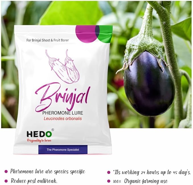 HEDO Pheromone Trap with Brinjal pheromone Lure(Leucinodes orbonalis) for Brinjal Crop Pack of 5