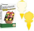 58 Pcs Ice Cream Shaped Gnat Traps, Novel Design for Easy and Conveinent Use, Yellow Sticky Traps for Fungus Gnat, Fruit Fly & Flying Insect, Ideal for Plants & Kitchens, Super Sticky, Kid & Pet Safe