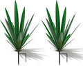 Homight Large Agave Sculpture Rustic Metal Agave Plant Outdoor Interior Decoration Outdoor Lawn Decoration Yard Wooden Posts Matching Garden Suitable for Patio