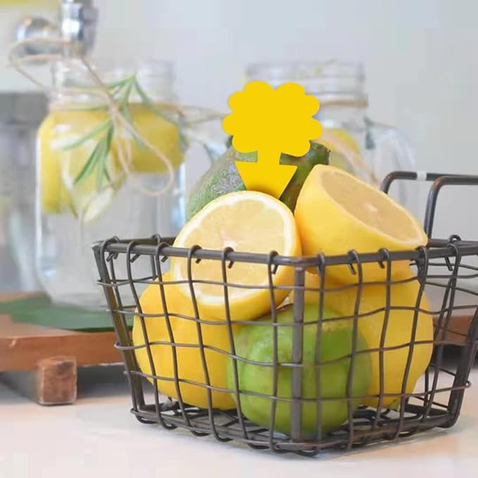36 Pcs Flower Shape Sticky Traps for Fungus Gnat (Plants), Flying Insect, Whitefly and Fly, Yellow Sticky Insect Catcher Traps for Indoor/Outdoor, Kitchen & Plants, High-End Glue, Non-Toxic, 4 Shapes