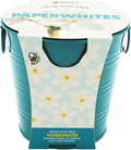 BUZZY Seeds Holiday Paperwhites Grow Kit, Complete with Bulbs, Teal Pail, Growing Medium, and Easy-to-Follow Instructions, Windowsill Gardening, Holiday Decor, Seasonal Gift for Home or Office