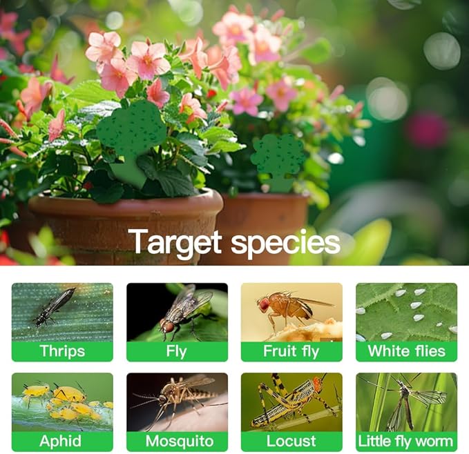 58 Pcs Green Flying Insect Traps for Plants,Indoors, Outdoors, Kitchen, Sticky Traps for Fungus Gnat, Fly and Fruit Fly, Flying Insects, Non-Toxic & Odorless, Kid and Pet Safe, Economic Pack (Green)