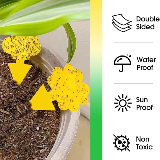 58 Pcs Yellow Flying Insect Traps for Plants,Indoors, Outdoors, Kitchen, Sticky Traps for Fungus Gnat, Fly and Fruit Fly, Flying Insects, Non-Toxic & Odorless, Kid & Pet Safe, Economic Pack (Yellow)