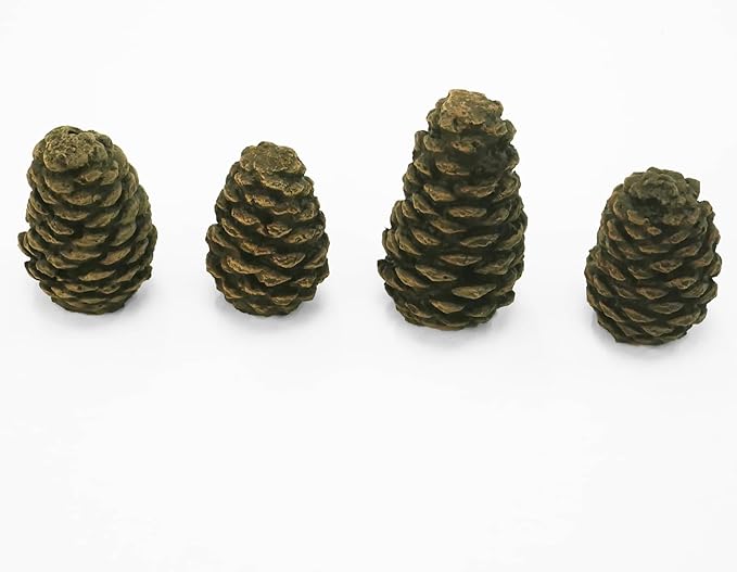 BLUEGRASS LIVING Decorative Concrete Pine Cones - Durable, Realistic Design for Indoor and Outdoor Use