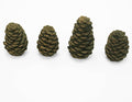 BLUEGRASS LIVING Decorative Concrete Pine Cones - Durable, Realistic Design for Indoor and Outdoor Use