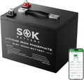 SOK Battery 100Ah 12V LiFePO4 Battery Deep Cycle Lithium Iron Phosphate Battery 12 Volt with Low Temp Protection, 100A BMS Ideal for RV, Solar, Wind, and Off-Grid Use