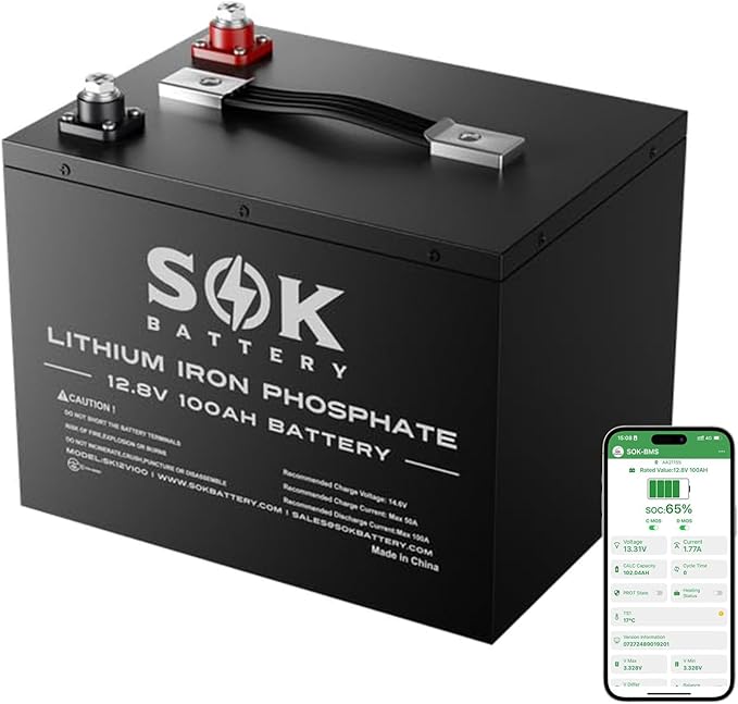 SOK Battery 100Ah 12V LiFePO4 Battery Deep Cycle Lithium Iron Phosphate Battery 12 Volt with Low Temp Protection, 100A BMS Ideal for RV, Solar, Wind, and Off-Grid Use