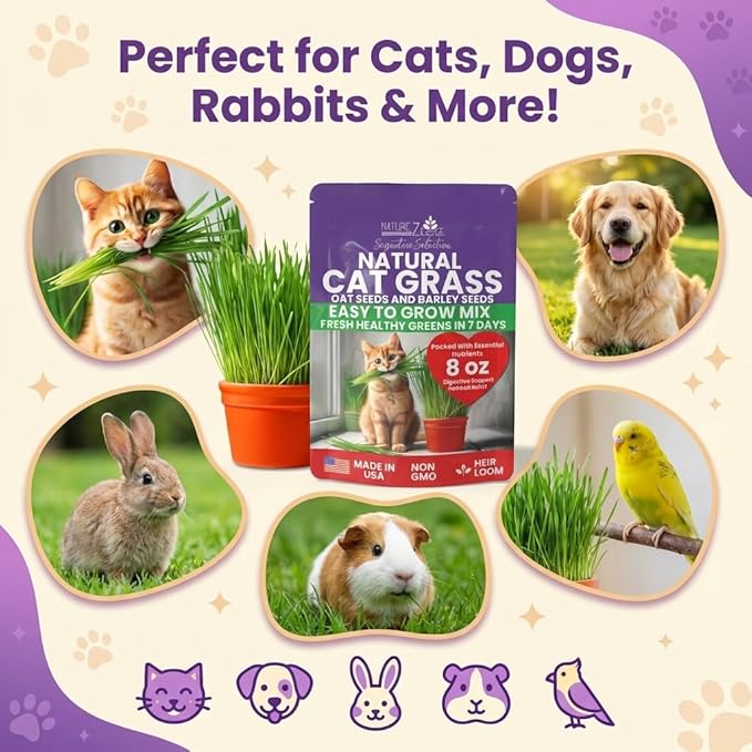 NatureZ Edge Premium Cat Grass Seeds for Indoor Cats, Non GMO - 1 lb Oat & Barley Grass for Indoor Cats, Cat Plant, Kitty Lawn, Pet Grass, Hierba para Gatos, Made in USA