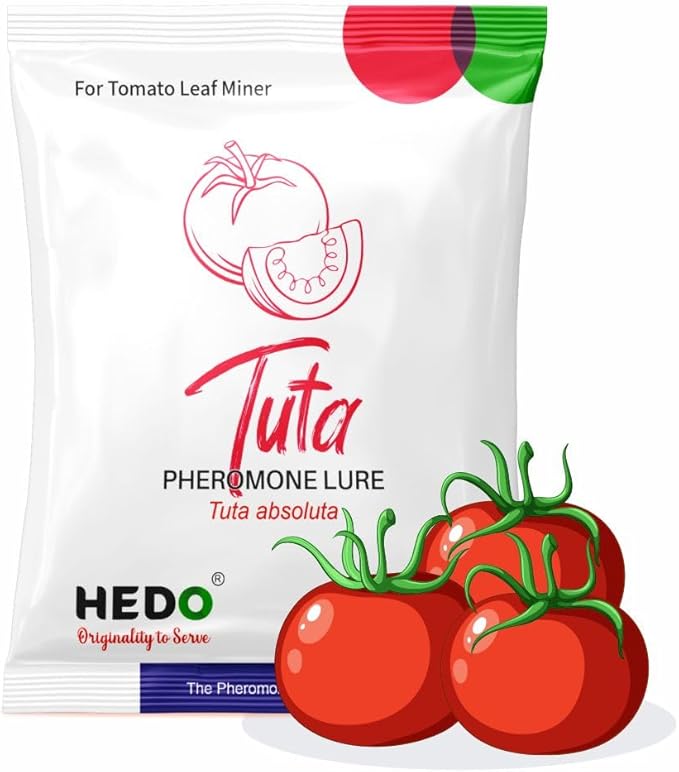 HEDO Delta Pheromone Trap with Tuta Lure for Tomato Leaf Miner(Tuta absoluta) to Control Damage in Tomato Pack of 10