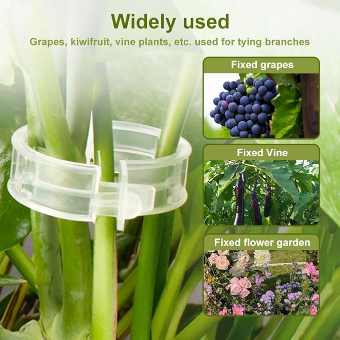 Plant Support Clips Reusable Garden Clips, Secured Plastic Plant Clips, Tomato Support Clips for String Trellis for Climbing Plants Outdoor Indoor Plant Flowers Stem Vine Fixing Clips (50, Black)