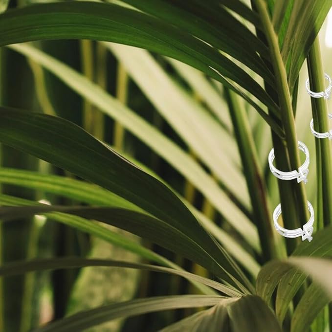 Plant Support Clips Reusable Garden Clips, Secured Plastic Plant Clips, Tomato Support Clips for String Trellis for Climbing Plants Outdoor Indoor Plant Flowers Stem Vine Fixing Clips (100, Green)