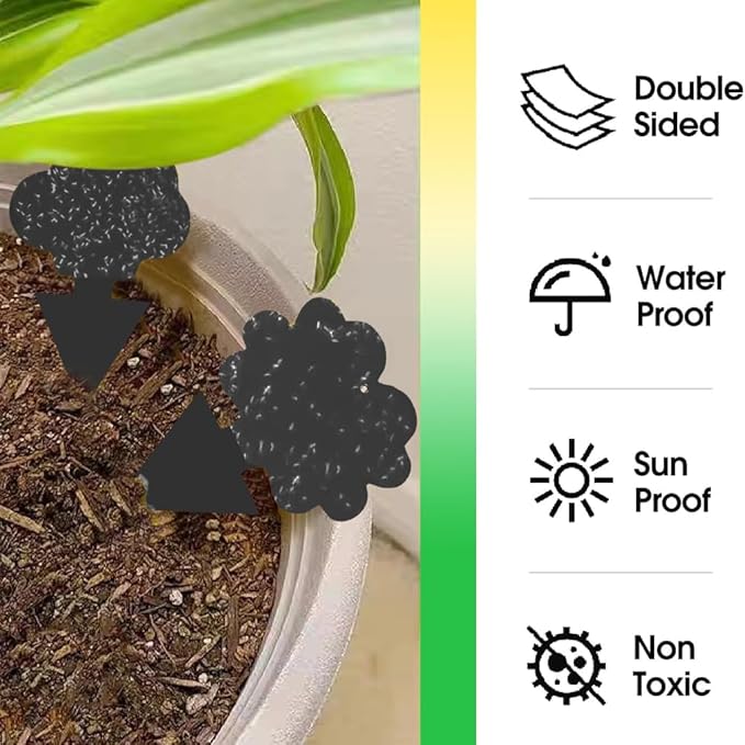 58 Pcs Black Flying Insect Traps for Plants,Indoors, Outdoors, Kitchen, Sticky Traps for Fungus Gnat, Fly and Fruit Fly, Flying Insects, Non-Toxic & Odorless, Kid & Pet Safe, Economic Pack (Black)