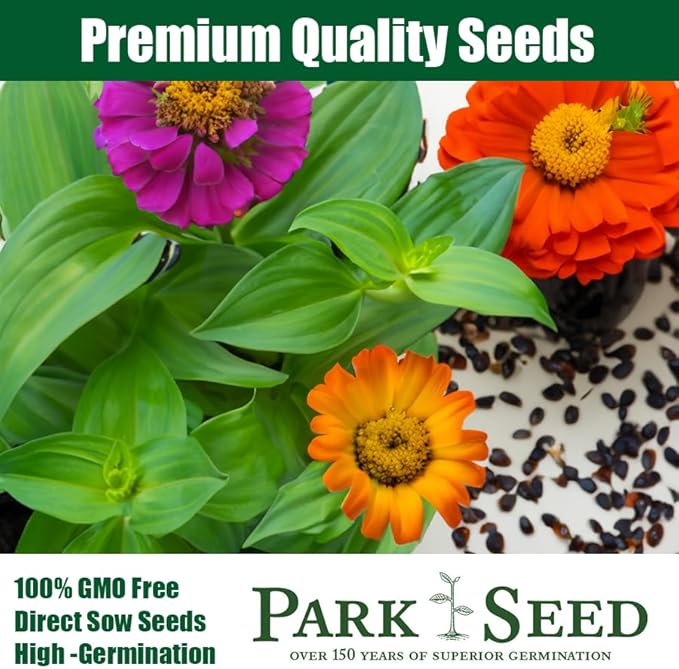 Park Seed Zinnia Flower Planting Seeds, Easy to Grow, Perfect for Spring Garden, Peppermint Stick, Pack of 50