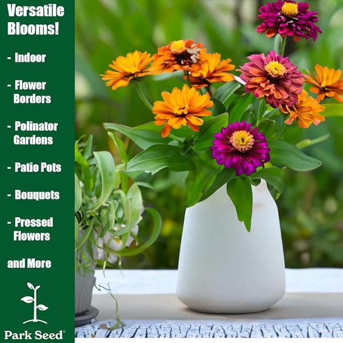 Park Seed Zinnia Flower Planting Seeds, Easy to Grow, Perfect for Spring Garden, Whirligig Hybrid, Pack of 50