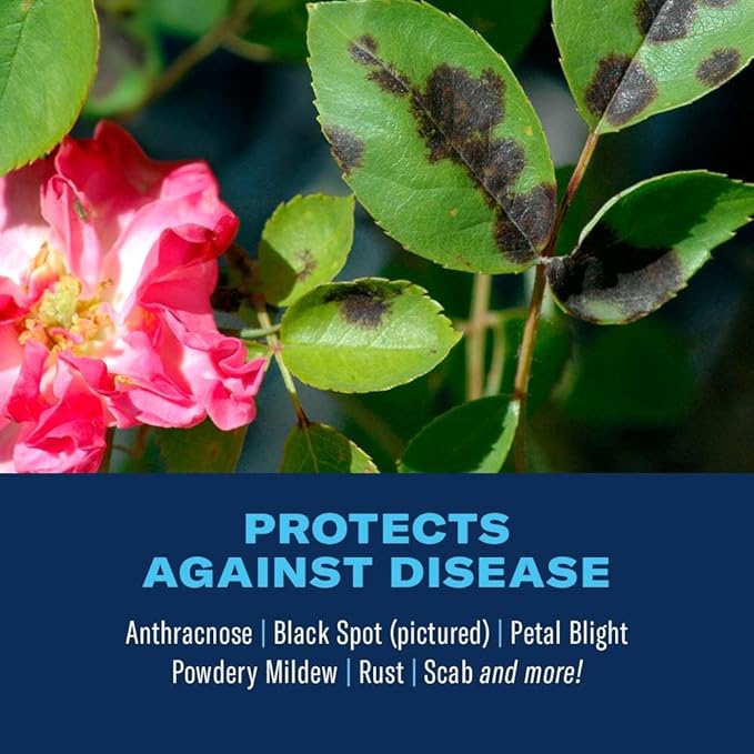 BioAdvanced 3-in-1 Insect and Mite Plant Bug Spray, Pest Control Ready-to-Spray 32 oz, Disease Control