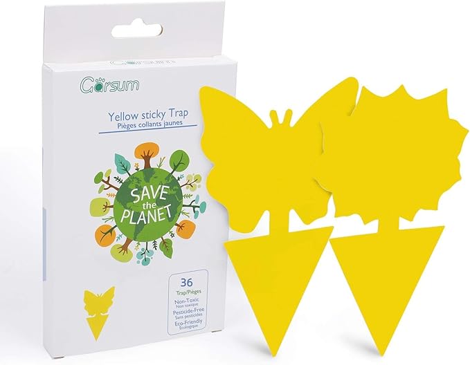 Garsum Fruit Fly Sticky Trap for Indoor and Outdoor, 36 Pack Fungus Gnat Killer for Houseplant,Mosquitos, Flying Insect, White Flies
