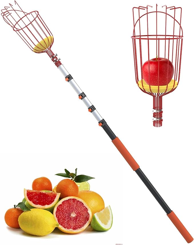 AgiiMan 5 to 20 FT Fruit Picker Pole - Reach to 26 FT Fruit Picker with Telescopic Extension Pole, Lightweight and Sturdy Aluminum Telescopic Pole, Easy to Assemble Fruit Picking Basket
