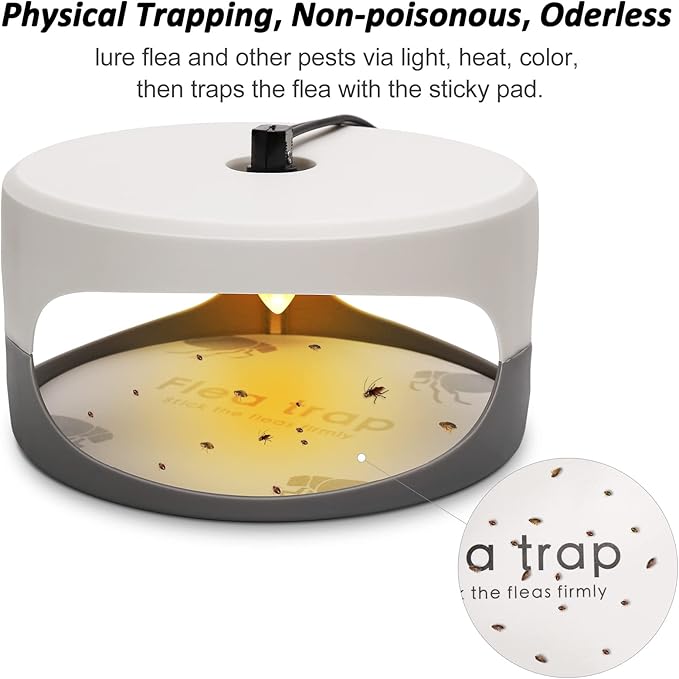 Flea Traps for Inside Your Home, 2 Pack Flea Trap with Sticky Pads Refills & Light Bulb Replacement, Odorless Natural Indoor Bed Bug Light Killer Insect Infestation Treatment Trap for Kids Pet
