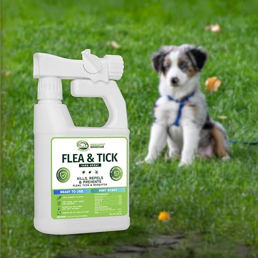Mosquito Magician Flea and Tick Yard Spray with Hose End Sprayer – Mosquito & Tick Killer and Repellent, Flea Treatment & Outdoor Bug Control for Lawn, Garden & Backyard – Mint Scent, 32 OZ