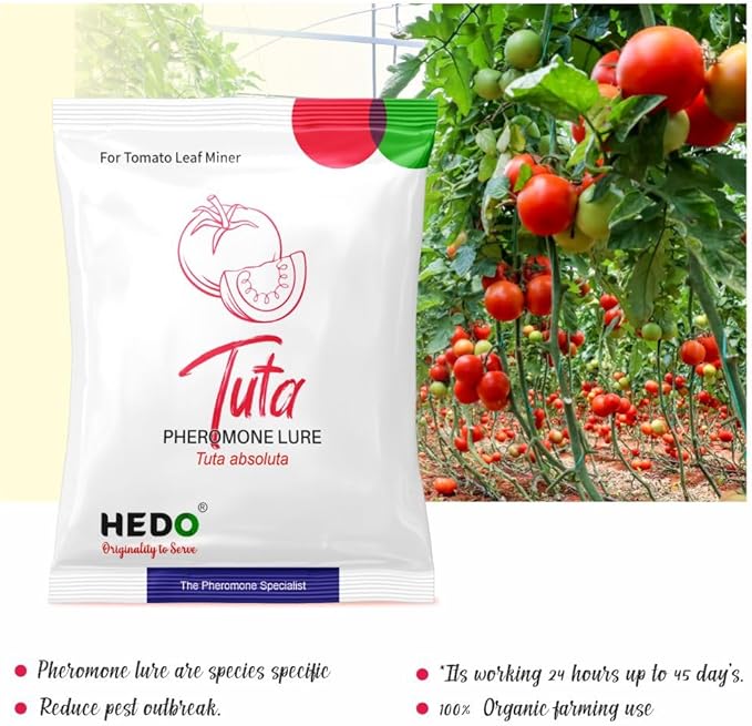HEDO Delta Pheromone Trap with Tuta Lure for Tomato Leaf Miner(Tuta absoluta) to Control Damage in Tomato Pack of 10