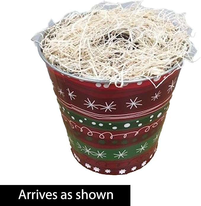 BRECK'S - Miracle Red Flowering Amaryllis Indoor Winter Flowering Gift Kit - Two dormant Bulbs pre-Planted in a Decorative Planter