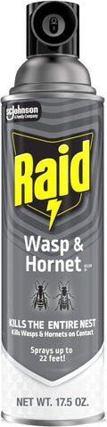 Raid Wasp & Hornet Killer Spray, Bug Killer Kills the Entire Nest, Kills Paper Wasps, Yellow Jackets, Mud Daubers and more, 17.5oz