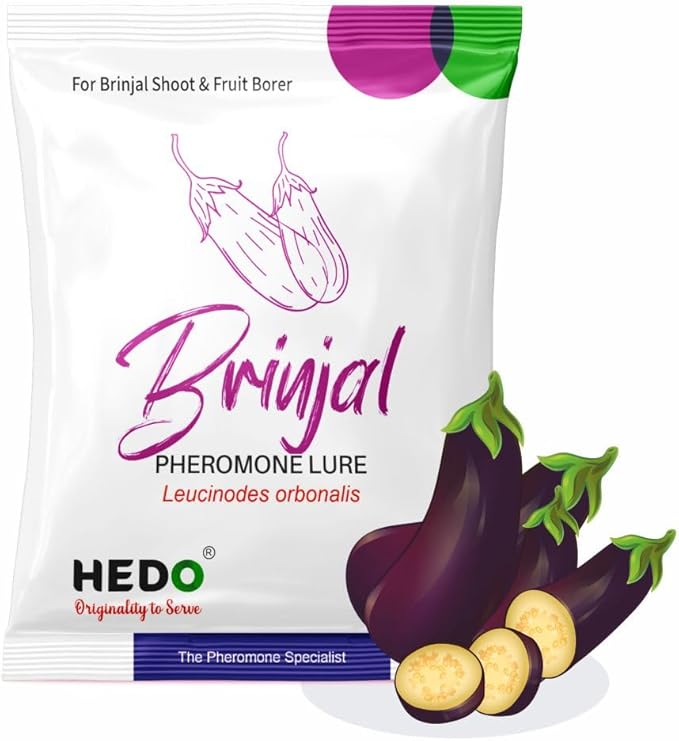 HEDO Pheromone Trap with Brinjal pheromone Lure(Leucinodes orbonalis) for Brinjal Crop Pack of 5
