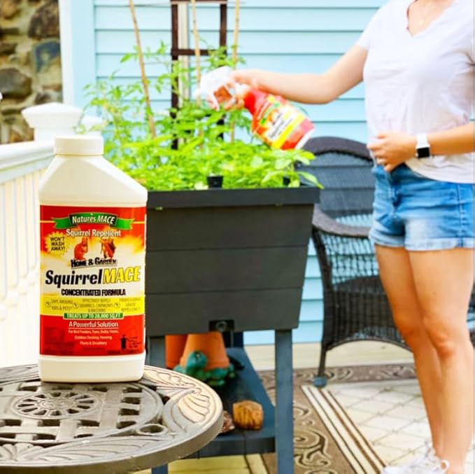 Nature's Mace Squirrel Mace, Squirrel Repellent Outdoor, 40 Ounce Spray, Squirrel and Chipmunk Repellent, Keep Squirrels Out of Your Garden, Attic, Bird Feeders, Fruit Trees, Plants, Potted Plants