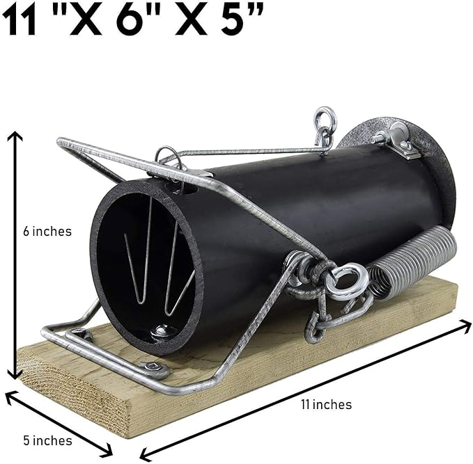Squirrel Traps Outdoor - Squirrel Traps - Ouell Traps - Trap for Squirrels (Small)
