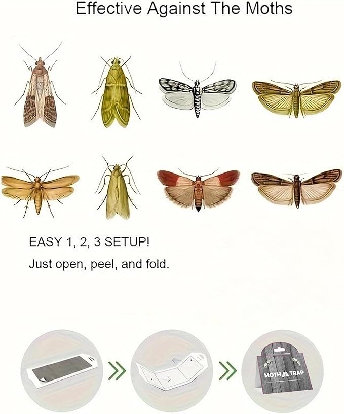 Pantry Moth Glue Traps (12 Packs) Pantry Moth Killer for House Pantry | Non-Toxic and Odorless for Food and Cupboard Moth | Super Strong Glue for Moth Catcher | Grey