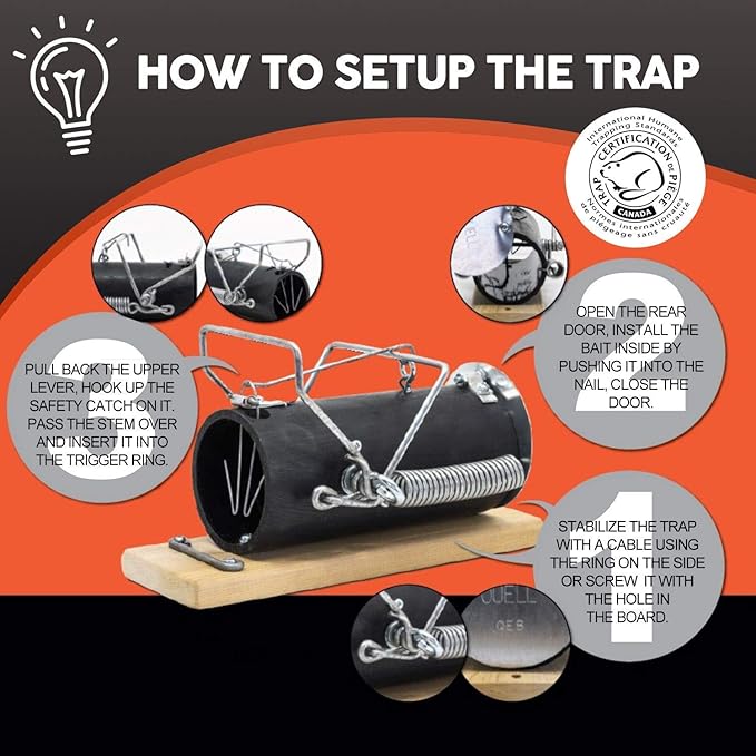 Squirrel Traps Outdoor - Squirrel Traps - Ouell Traps - Trap for Squirrels (Small)