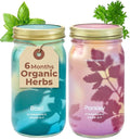 Modern Sprout Mason Garden Jar - Self-Watering Hydroponics Growing System Kit with Organic Herb Seeds - Jar Planter for Indoor Herb Garden - Seed Starter Kit - Home Decor & Gifting - Basil+Parsley