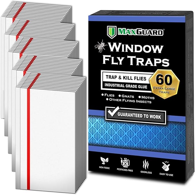 MaxGuard Window Fly Traps (60 XL Traps) Catch & Kill Houseflies, Flying Insects & Bugs. Non-Toxic Sticky Glue Traps Fly Killer Clear Strip Insect Catcher Safe No Zapping with Zapper |