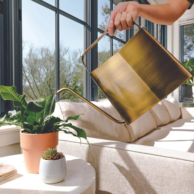 Modern Sprout Brass Finish Plant Watering Can - 3L Capacity - Long Spout Stainless Steel Vessel for Outdoor & Indoor Plants - Rust Resistant - Garden Accessory for Houseplants & Decorative Use